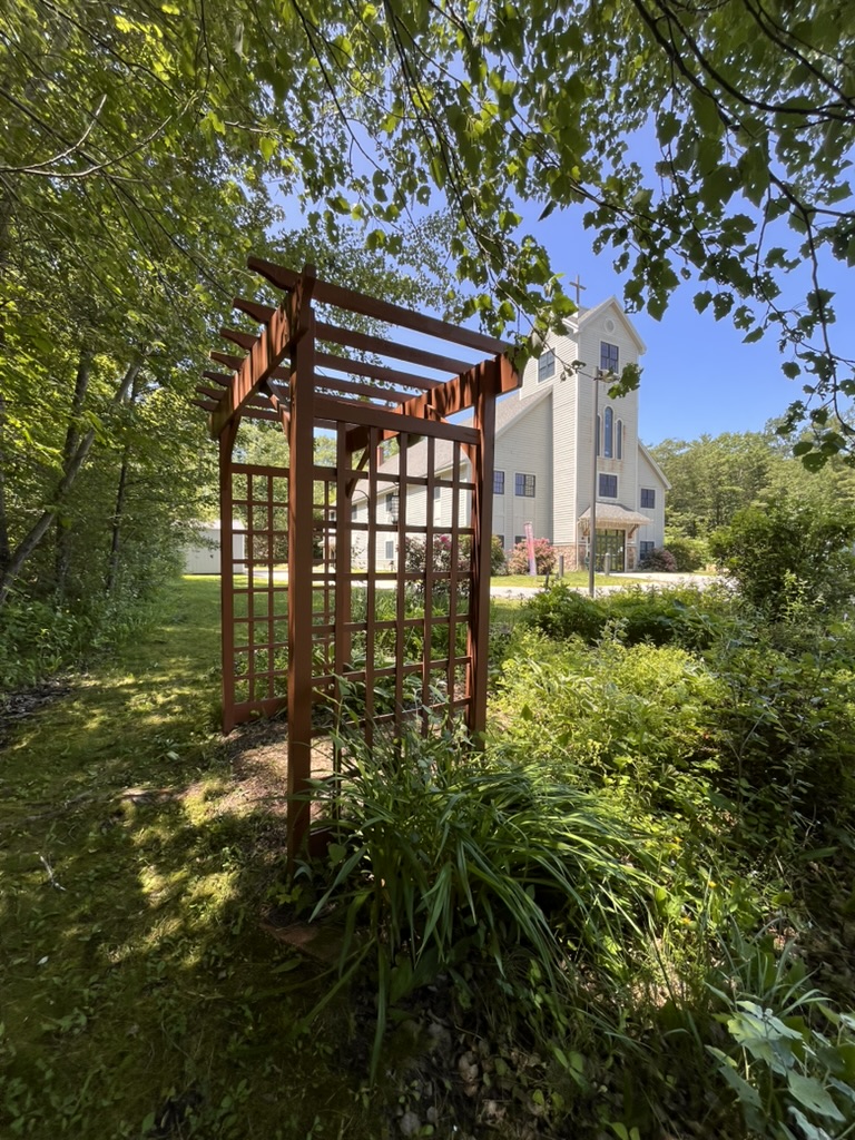 41BFA3FC-2659-4808-A448-1E324D728CD5_1_105_c