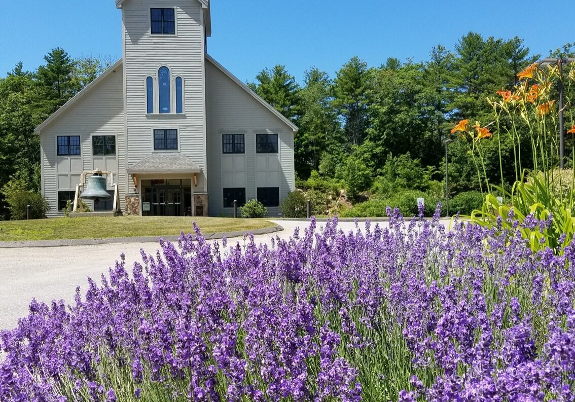 2017-07-09 11.58.39-crop